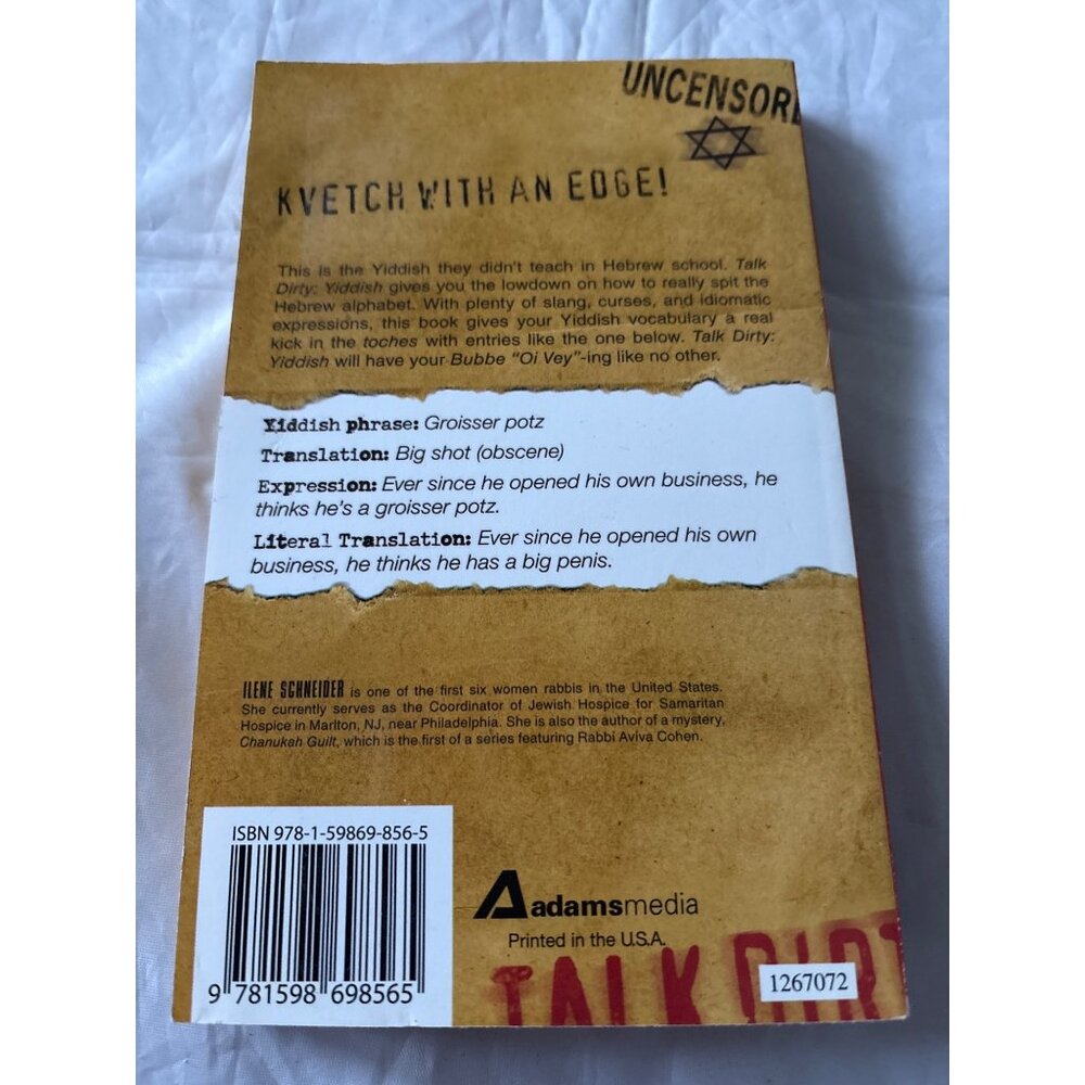 Talk Dirty Yiddish Uncensored By Ilene Schneider Funny Language Guide Paperback - Picture 5 of 12